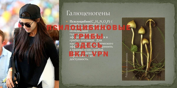 шишки Белая Калитва