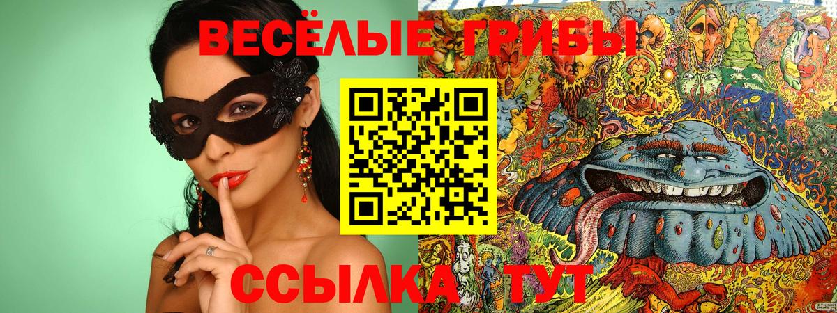 Псилоцибиновые грибы прущие грибы Карасук