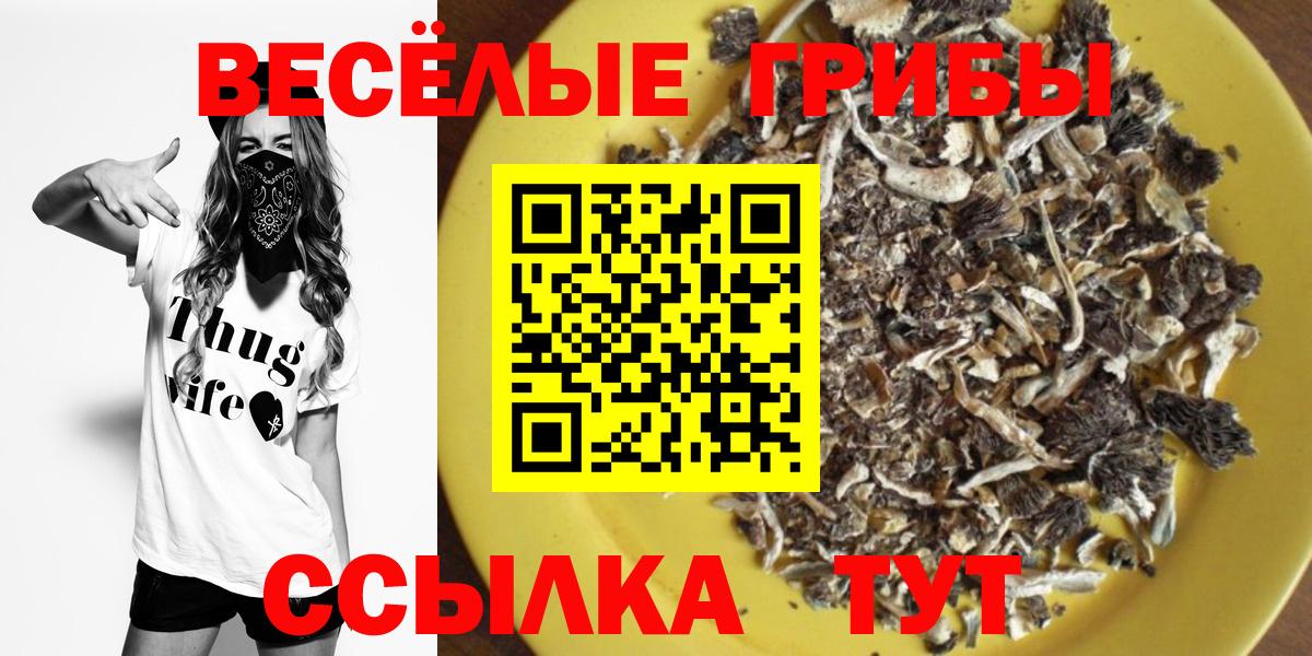 Псилоцибиновые грибы Psilocybine cubensis  Вход с VPN  Карасук 