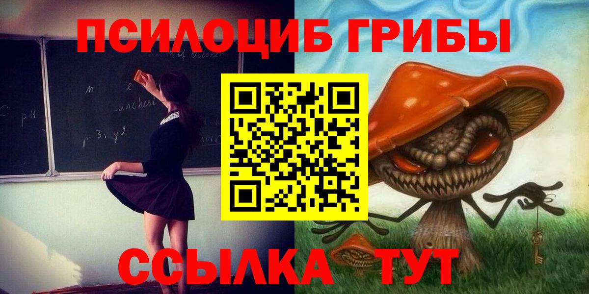 Галлюциногенные грибы Psilocybe Карасук